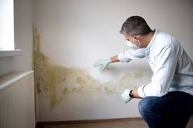 Best Mold Removal for HVAC Installations  in Stockdale, TX